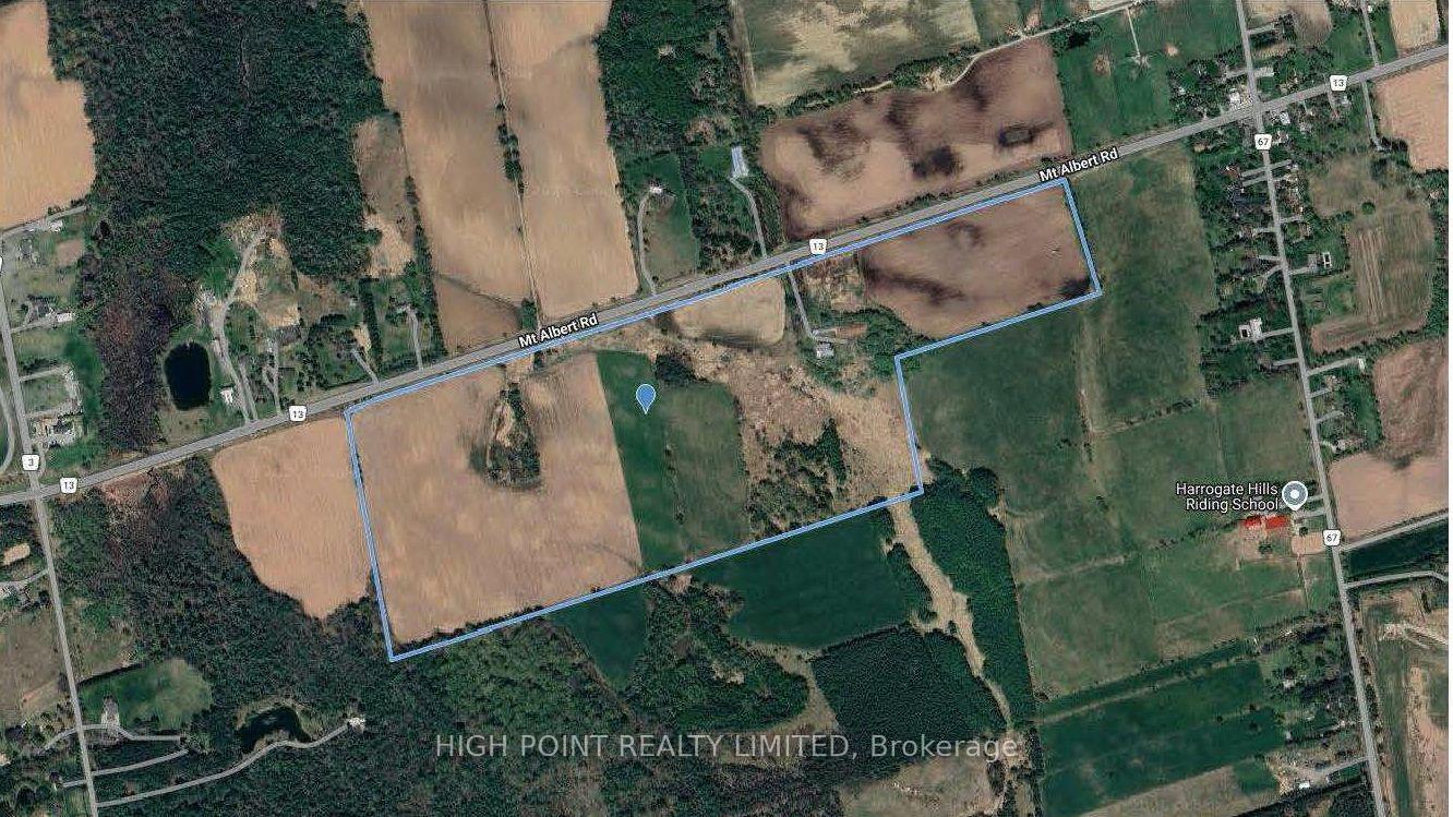 4219 Mount Albert Road, East Gwillimbury, ON L0G 1M0